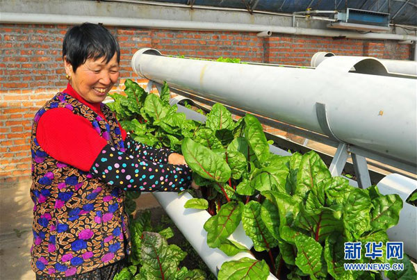 Jilin's interest in agriculture helps raise farmers' income