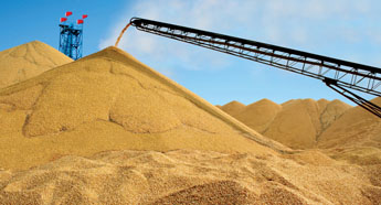 40 years on: Modern agriculture develops in Changchun