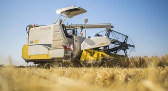 Unmanned rice harvesters utilized in Jilin
