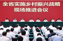 Calls made to boost Jilin's rural revitalization
