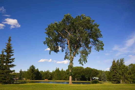 Saskatchewan, Canada