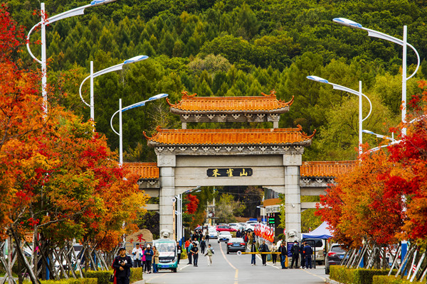 VCG111352320062_副本.jpg