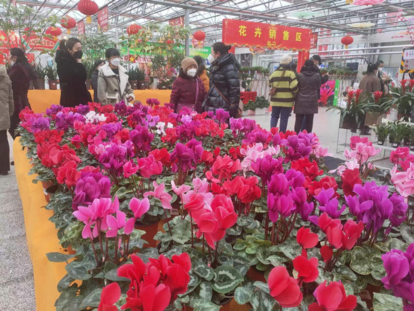 微信图片_20230112140731_副本.jpg