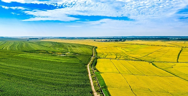 Jilin launches grain branding campaign