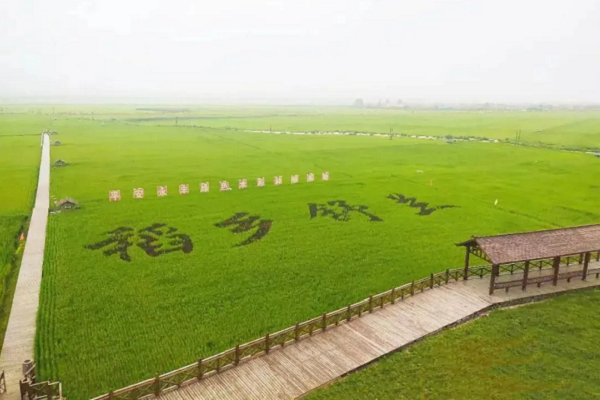 Jilin's heritage brands earn national spotlight