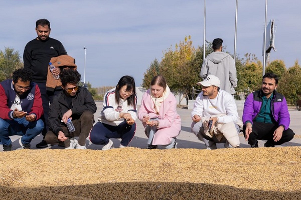 1763098666592040821.jpg 网2.jpg