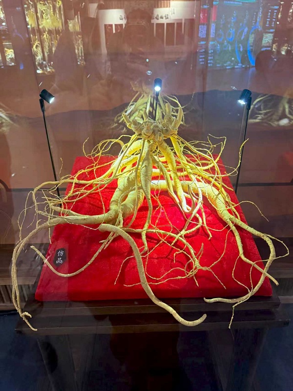 1765177450462088724.jpg 吉网2.jpg