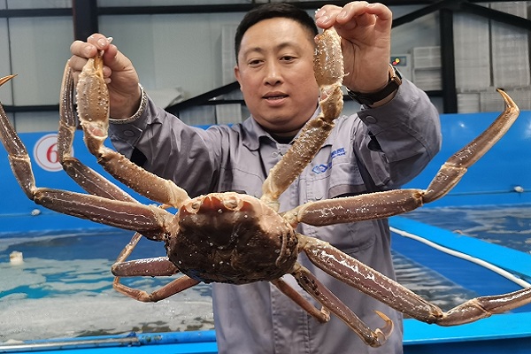 1765433390062010927.jpeg 網(wǎng)1.jpeg