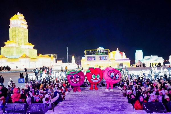 1768206479430036468.jpg 網1.jpg