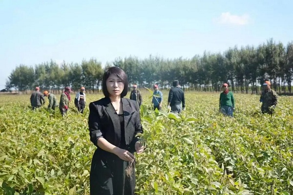 1772601984386029971.jpg 网1.jpg