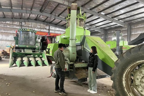 1772601992388099878.jpg 网2.jpg