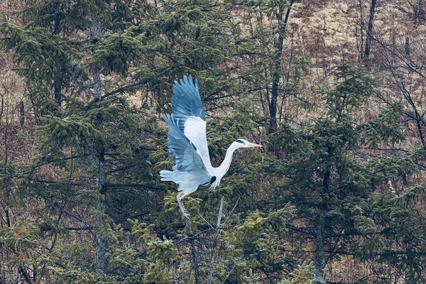 1774418312110075136.jpg 网3.jpg