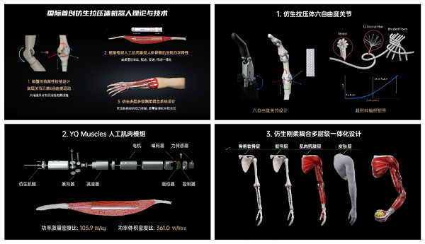 1792477832922036565.png 网1.png