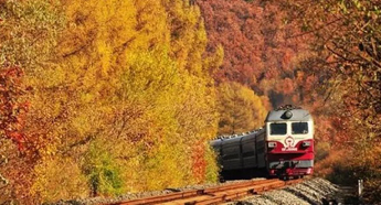 Next stop, golden autumn: Green trains in Changbai