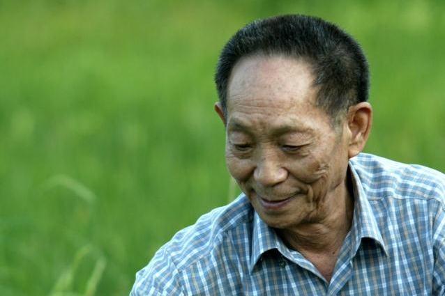 Portrait honors 'father of hybrid rice'