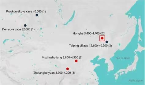 Research sheds light on horse origins in N China