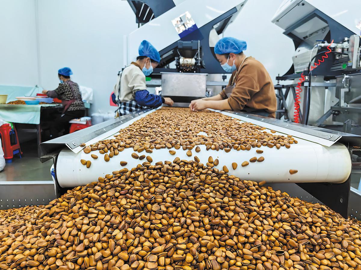 Meihe devoted to industrial upgrading