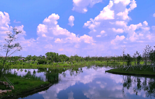 Beihu Wetland Park