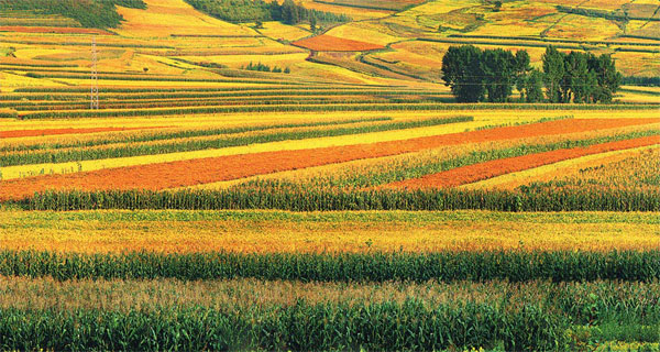 Jilin has high ambitions for 2016 and beyond