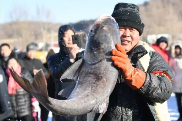 Fishermen net giant catch at Shitoukoumen Reservoir