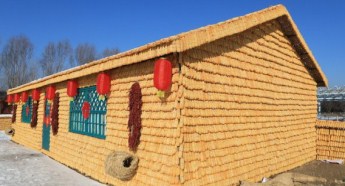 Changchun puts on winter agricultural fair