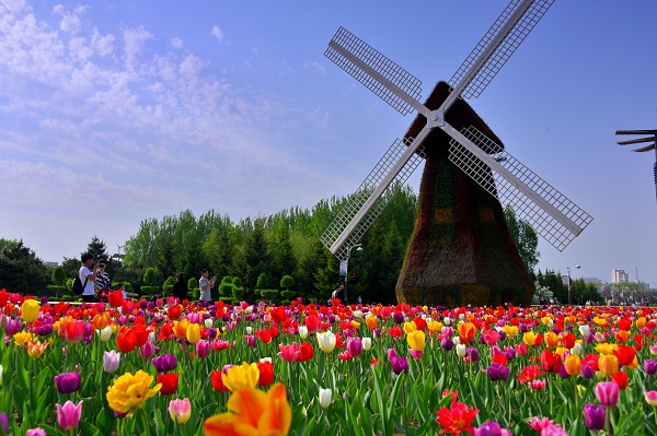 Discovering Changchun’s 10 vivifying cultural parks in spring (2)