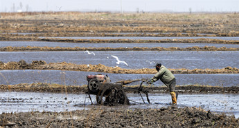 Spring ploughing gets into full swing in Jilin province