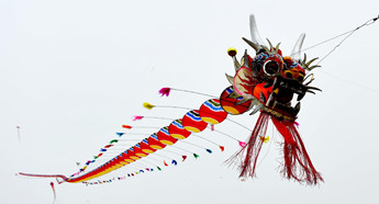 Kites lift spirits as they fly in NE China sky