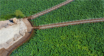 Chagan Lake achieves new luster in Jilin