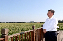 Xi inspects Northeast China's Jilin province
