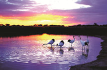 Visiting China Online: Jilin