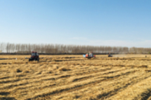 Nongan makes great strides in its rural revitalization