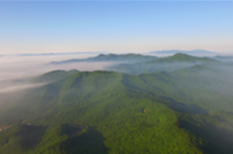 Jilin province goes greener