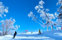 It is the season for rime and skis