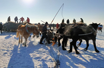 Massive fish haul unfolds on frozen lake in Jilin