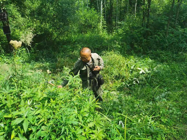 Hunter becomes forest ranger to conserve wildlife