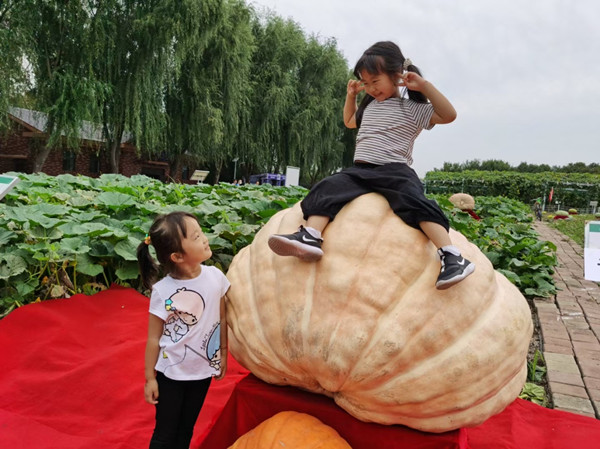 International agricultural expo opens in N China's Jilin 