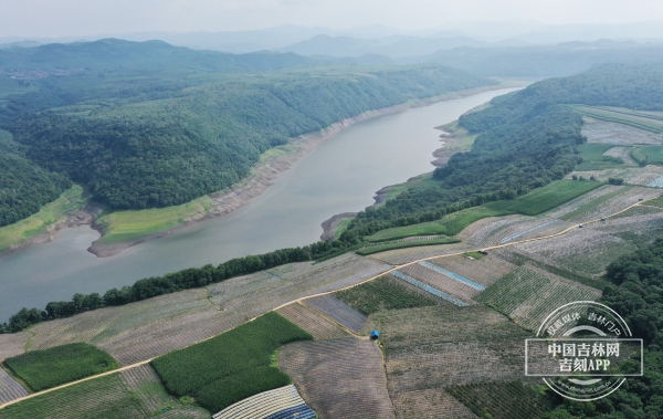Sandaohu town in Jilin promotes burgeoning blueberry sector