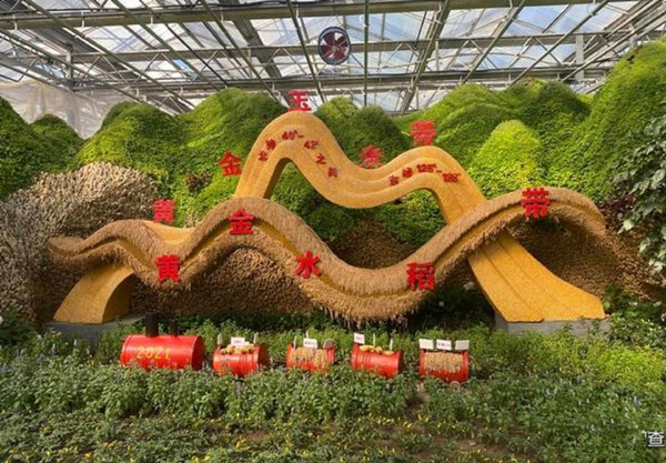 Giant fruits, vegetables a hit in Jilin province food expo