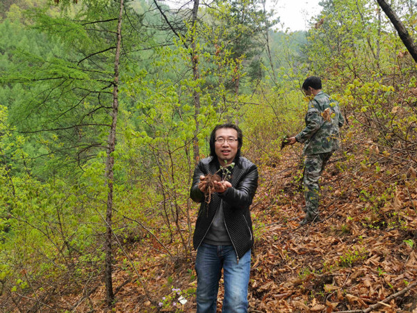 Jilin man seeks growth of herbs, area tourism