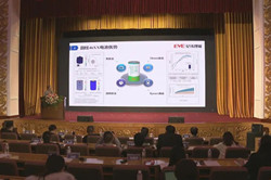 Exchange activities held during China-Germany auto conference