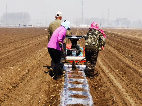 Spring plowing goes forward in Jilin province