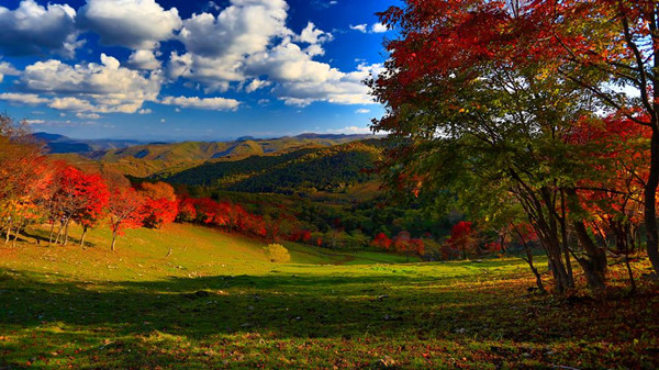 Jilin offers enticing tourism products to holiday visitors 