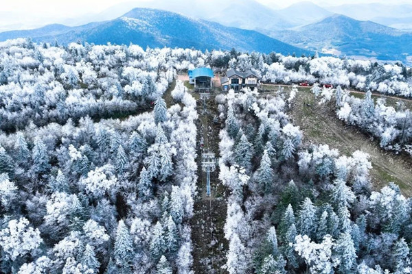 Jilin city welcomes spectacular alpine rime