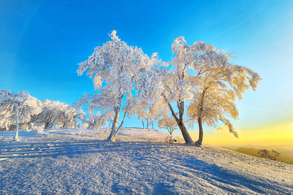 Jilin’s Sifang Mountain presents winter rime spectacle