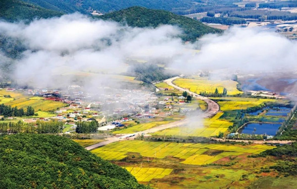 Jilin's Yanbian to be national forestry carbon sink pilot