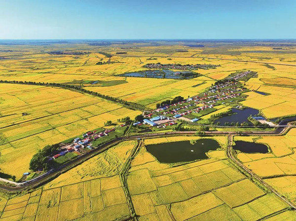 Jilin province sets a record in annual grain output