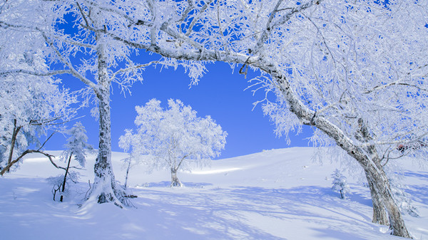 Delicate rime turns Laotudingzi Mountain into frosty wonderland 