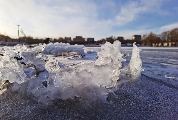 Snow transforms World Sculpture Park into winter wonderland 