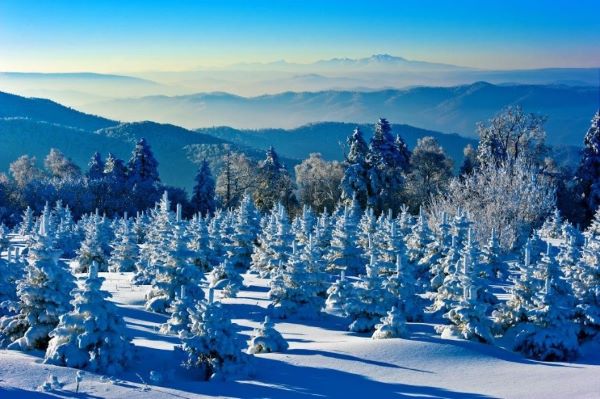 Jilin province offers great variety of winter events 